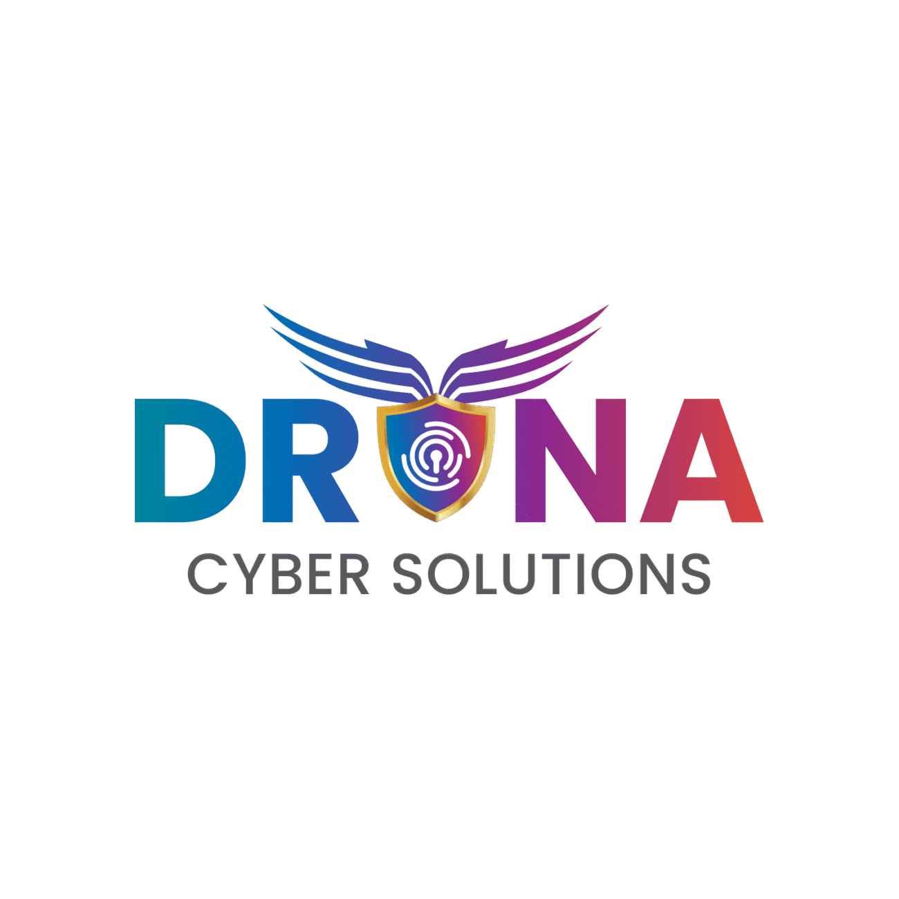 dronacybersolutions